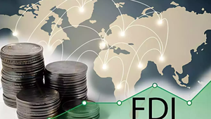 Realized FDI in January-November reaches five-year high