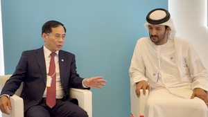 VN, UAE urged to early ratify CEPA in Q1, 2025