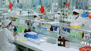 Chemical pharmaceutical industry development program ratified