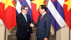 Deputy PM, Foreign Minister Bui Thanh Son holds talks with Cuban Foreign Minister