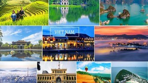 Int’l search volume for Viet Nam&#39;s tourism sharply increases: Google Destination Insights