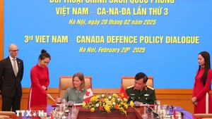 Viet Nam, Canada hold 3rd defense policy dialogue