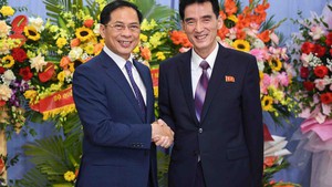 Viet Nam, DPRK mark 75th founding anniversary of diplomatic relations