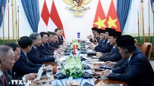 Viet Nam, Indonesia elevate ties to comprehensive strategic partnership