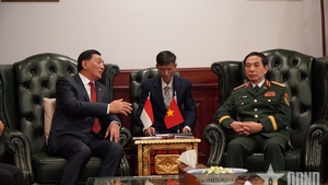 Vietnamese defense minister meets Indonesian counterpart in Jakarta