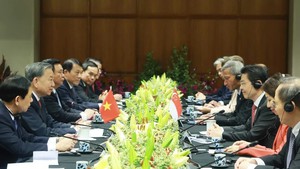 Viet Nam, Singapore elevate bilateral ties to Comprehensive Strategic Partnership