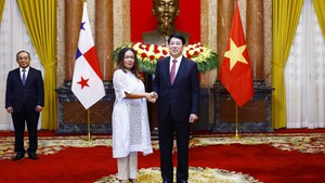 President Luong Cuong receives newly accredited ambassadors