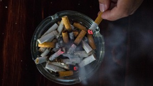 Viet Nam should seize historic opportunity to curb tobacco harm and to support economic growth, says WHO
