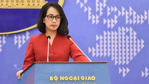 Viet Nam welcomes President Putin&#39;s proposal to resume direct talks with Ukraine