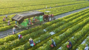 Australia to provide AUD 2 million to help Viet Nam respond to climate change