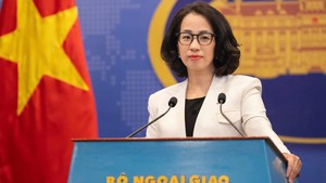 Viet Nam repatriates over 450 citizens from Myanmar