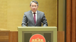 Gov’t proposes to relax conditions for acquiring Vietnamese nationality