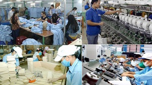 Gov’t adopts action plan to bolster private economy development