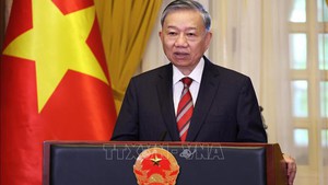 Politburo sets up central steering committee for improving legislation