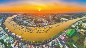 Mekong Delta’s trade volume up nearly 14% in four months