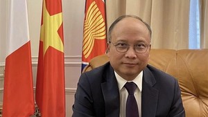Emmanuel Macron&#39; State visit to Viet Nam aims to expand bilateral ties
