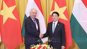 Viet Nam wishes to further enhance cooperation with Hungary