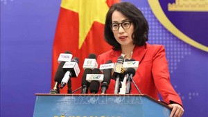 Viet Nam lodges diplomatic notes protesting violations of its sovereignty in Truong Sa
