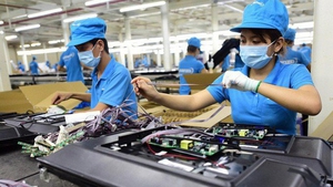 Private economy defined as most important driving force