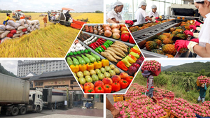 Viet Nam safeguards agricultural production, export amid global trade uncertainties
