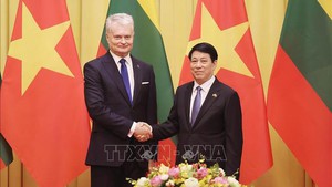 Vietnamese, Lithuanian Presidents hold talks in Ha Noi