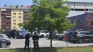 President Luong Cuong extends condolences to Austria over school shooting