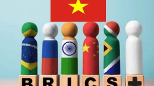 Viet Nam officially becomes BRICS partner country