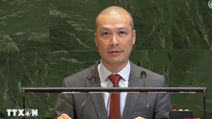 Viet Nam calls for urgent global action to resolve Gaza crisis