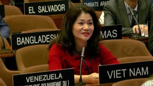 Viet Nam elected to UNESCO culture diversity committee for third time