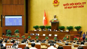 Viet Nam sets up National Election Council