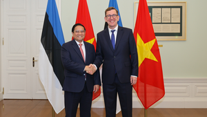 Viet Nam seeks Estonina&#39;s experience in e-government development
