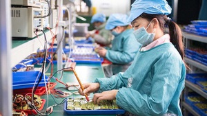 Over 15.000 new firms make debut in May