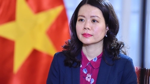 Viet Nam contributes to converting SEARP into regional cooperation pillar