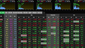 Viet Nam has over 10 million securities accounts