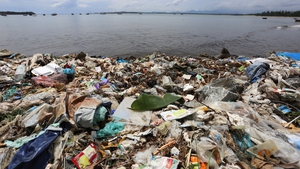 Viet Nam needs US$8-9 bln to address plastic waste in next five years