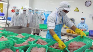 Regional minimum wage may increase by 7.2% from 2026