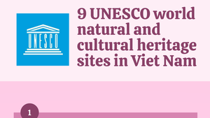 INFOGRAPHICS: 9 UNESCO world natural and cultural heritage sites in Viet Nam