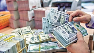 Overseas remittances to Ho Chi Minh City hit over US$5.2 bln in first half