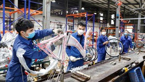 ADB: Viet Nam to remain resilient in 2025–2026 despite global uncertainties