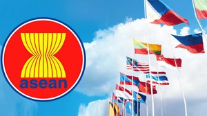 Viet Nam upholds solidarity, responsibility during 30-year ASEAN membership