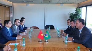 Viet Nam, Brazil should work to build coffee brand