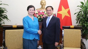 Cambodia and Thailand are close friends of Viet Nam: Deputy PM, FM Bui Thanh Son