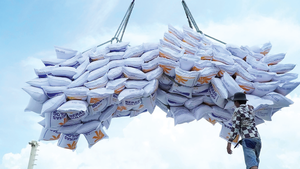 Viet Nam may export 8.8 million tons of rice in 2025