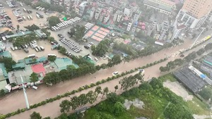 Typhoon Kajiki claims three lives in Viet Nam