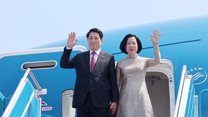 State President Luong Cuong starts State visits to Egypt and Angola