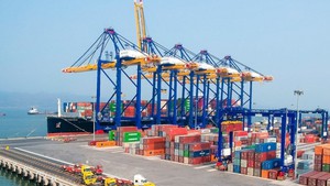 Trade turnover jumps 16.2% from January to mid-July