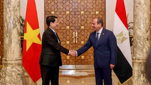 Viet Nam, Egypt upgrade ties to Comprehensive Partnership