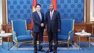 Viet Nam, Angola issue joint statement