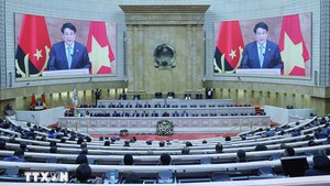 State leader’s visits write new chapter in multifaceted cooperation with African nations