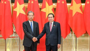 Top Vietnamese and Chinese legislators hold talks